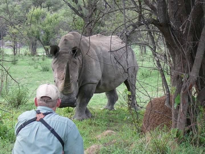 Rhino Tracking - Safari experience showcasing A Conservation Safari Adventure in East Africa