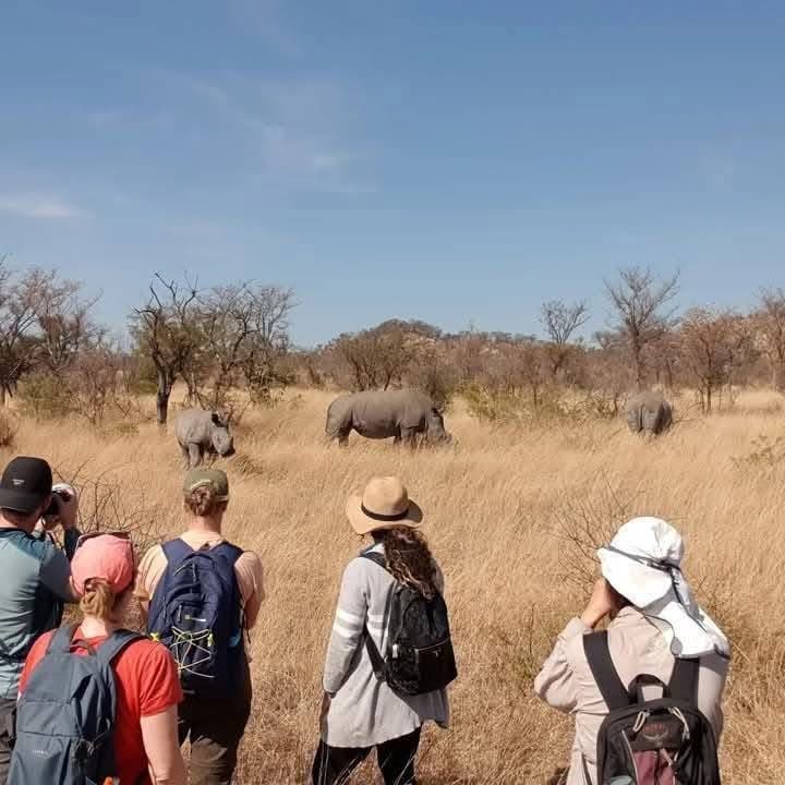 Rhino Tracking - Safari experience showcasing A Conservation Safari Adventure in East Africa