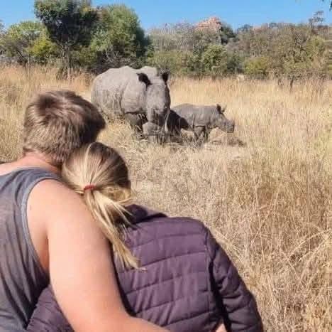 Rhino Tracking - Safari experience showcasing A Conservation Safari Adventure in East Africa