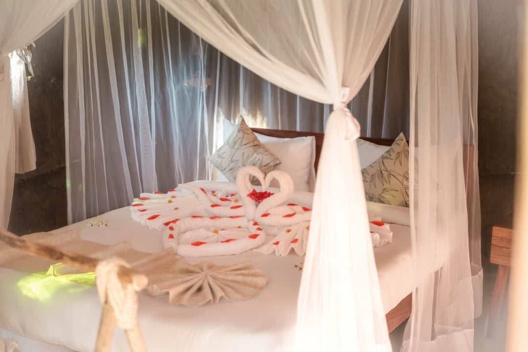 Safari Weddings - Safari experience showcasing A Magical Union in the Wild in East Africa