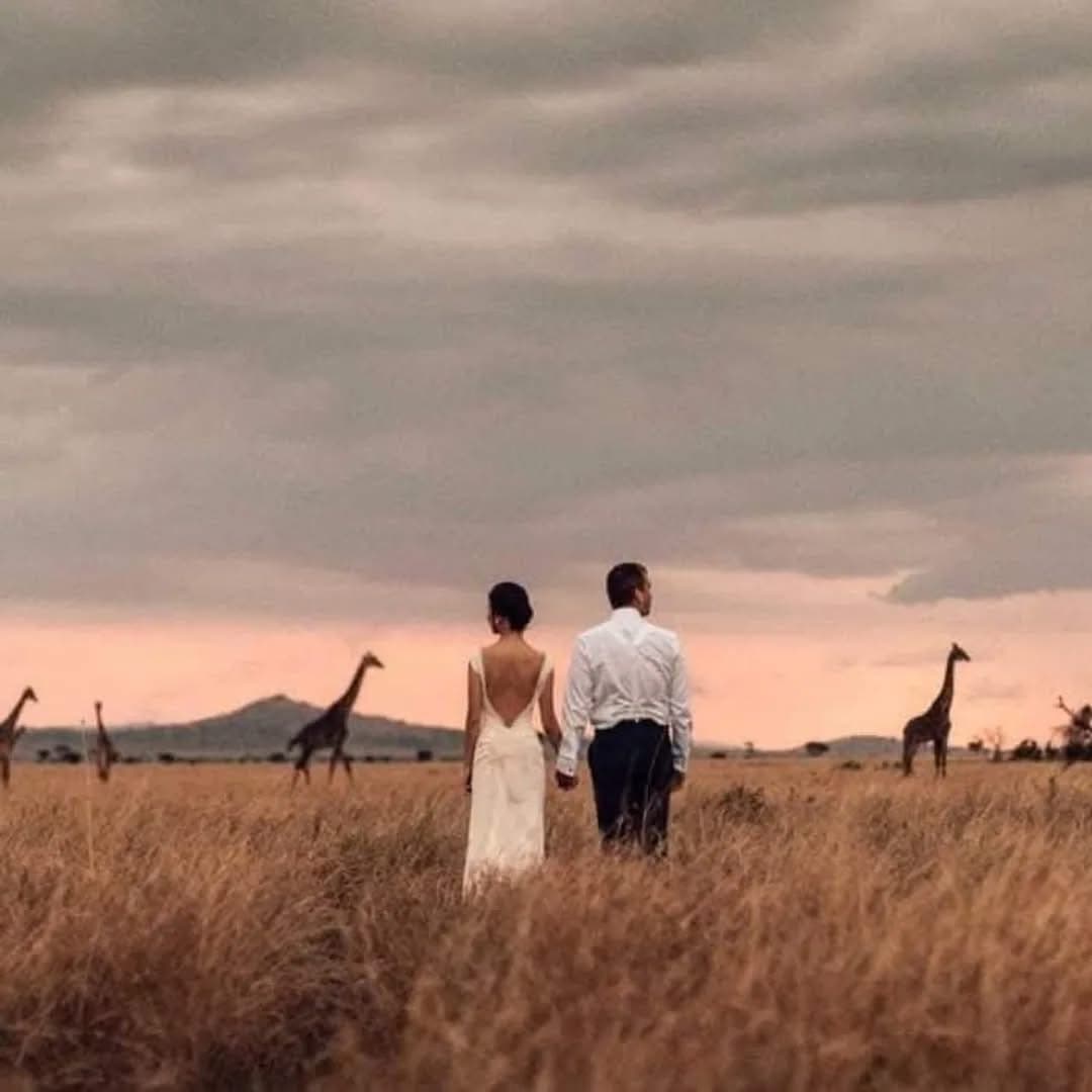 Safari Weddings - Safari experience showcasing A Magical Union in the Wild in East Africa