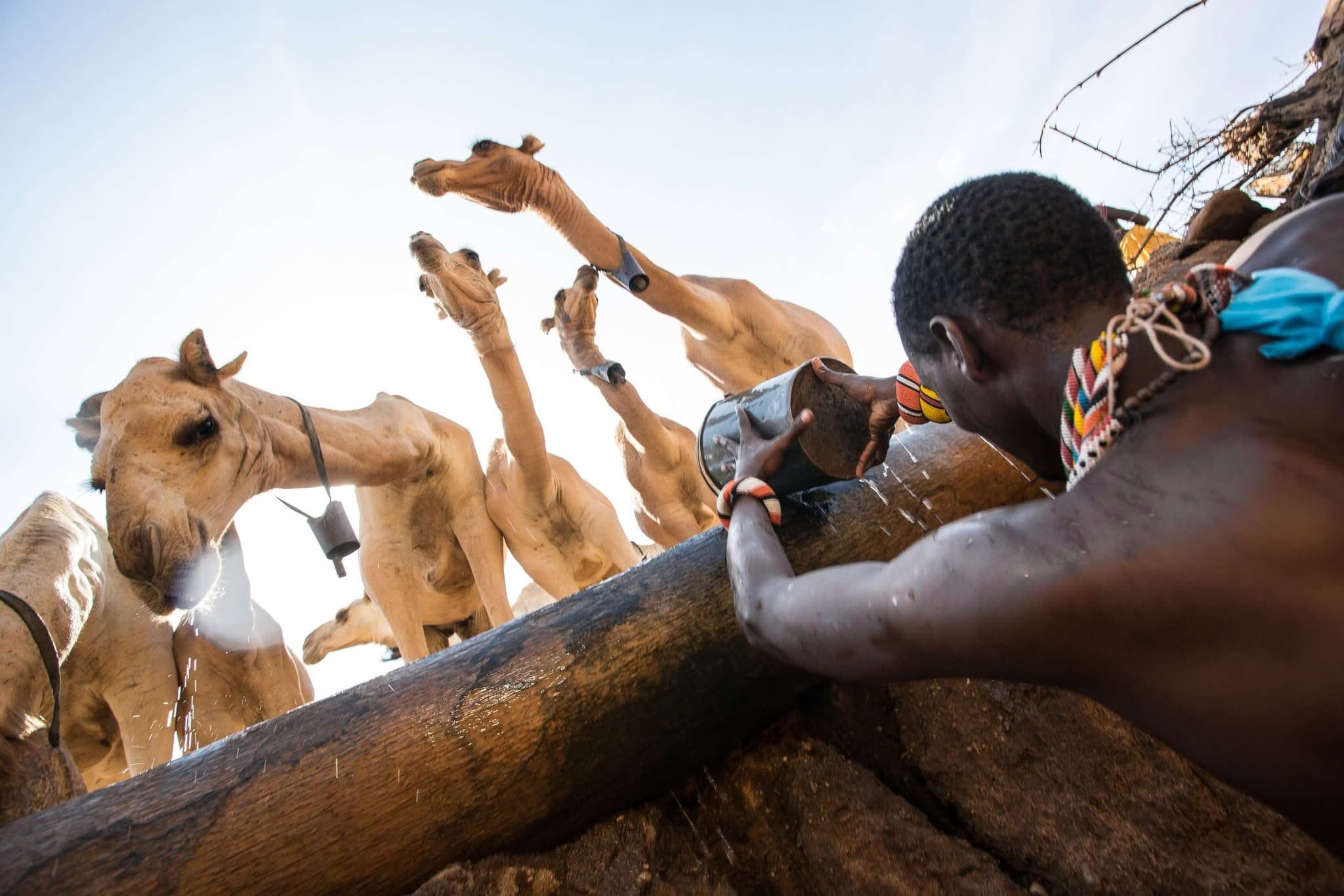 The Samburu Singing Wells - Safari experience showcasing A Timeless Cultural Safari Experience in East Africa