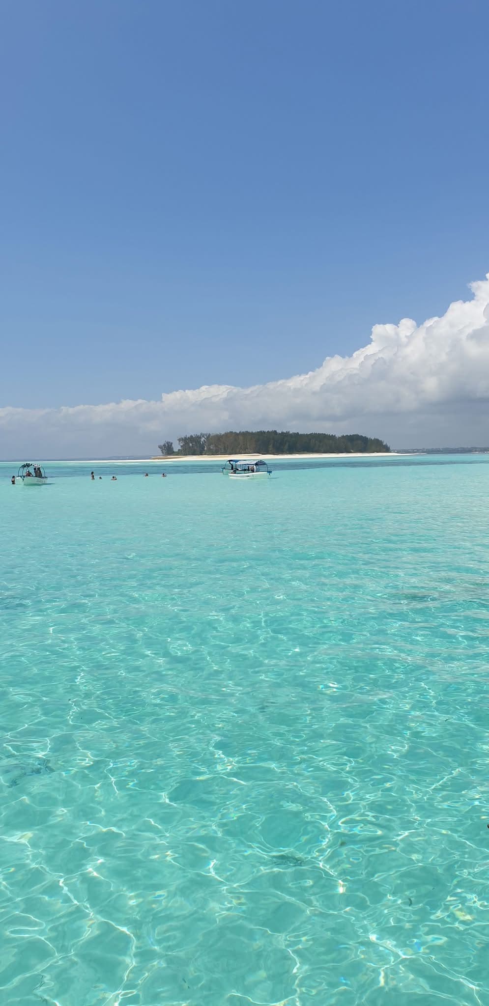 Snorkeling - Safari experience showcasing A Vibrant Underwater Safari in East Africa