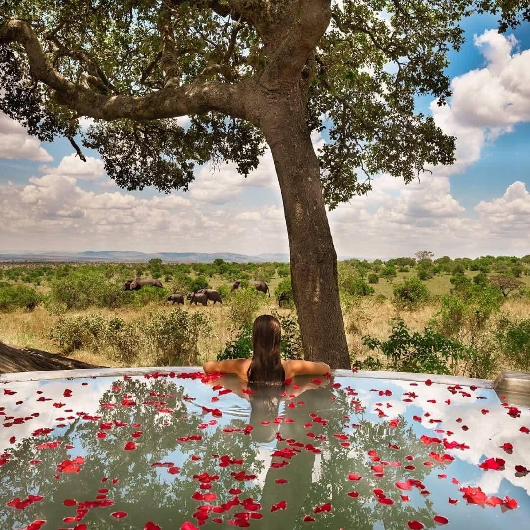 Spa Treatments - Safari experience showcasing Rejuvenation in the Wild in East Africa