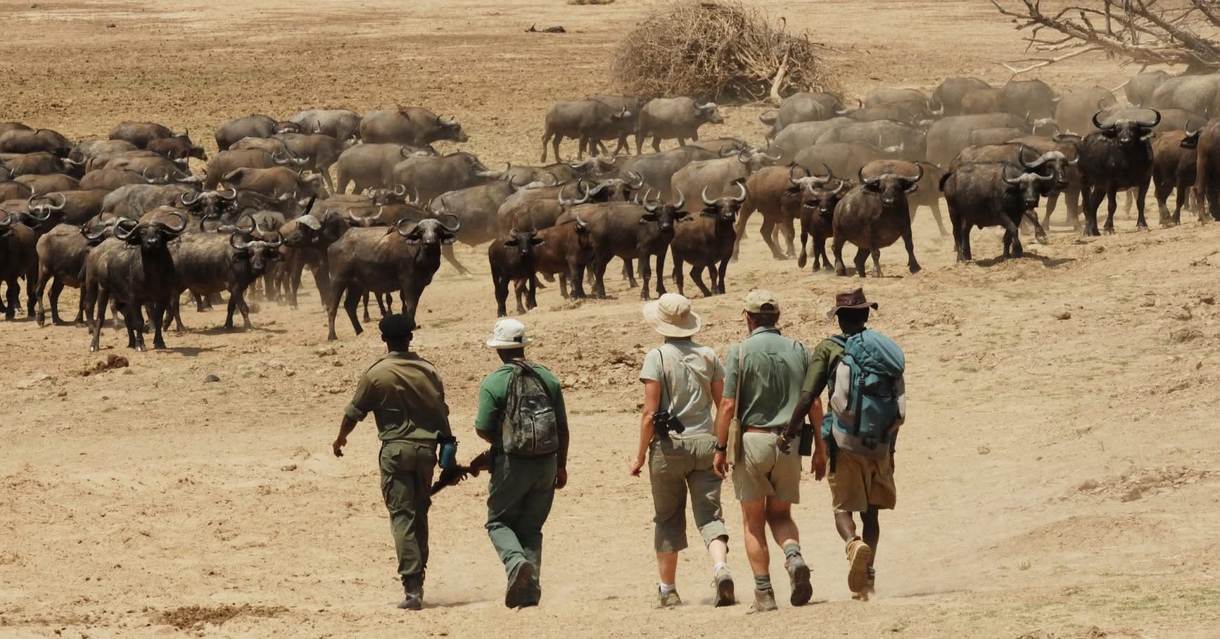 Guided Walking Safaris - Safari experience showcasing A Thrilling Safari on Foot in East Africa
