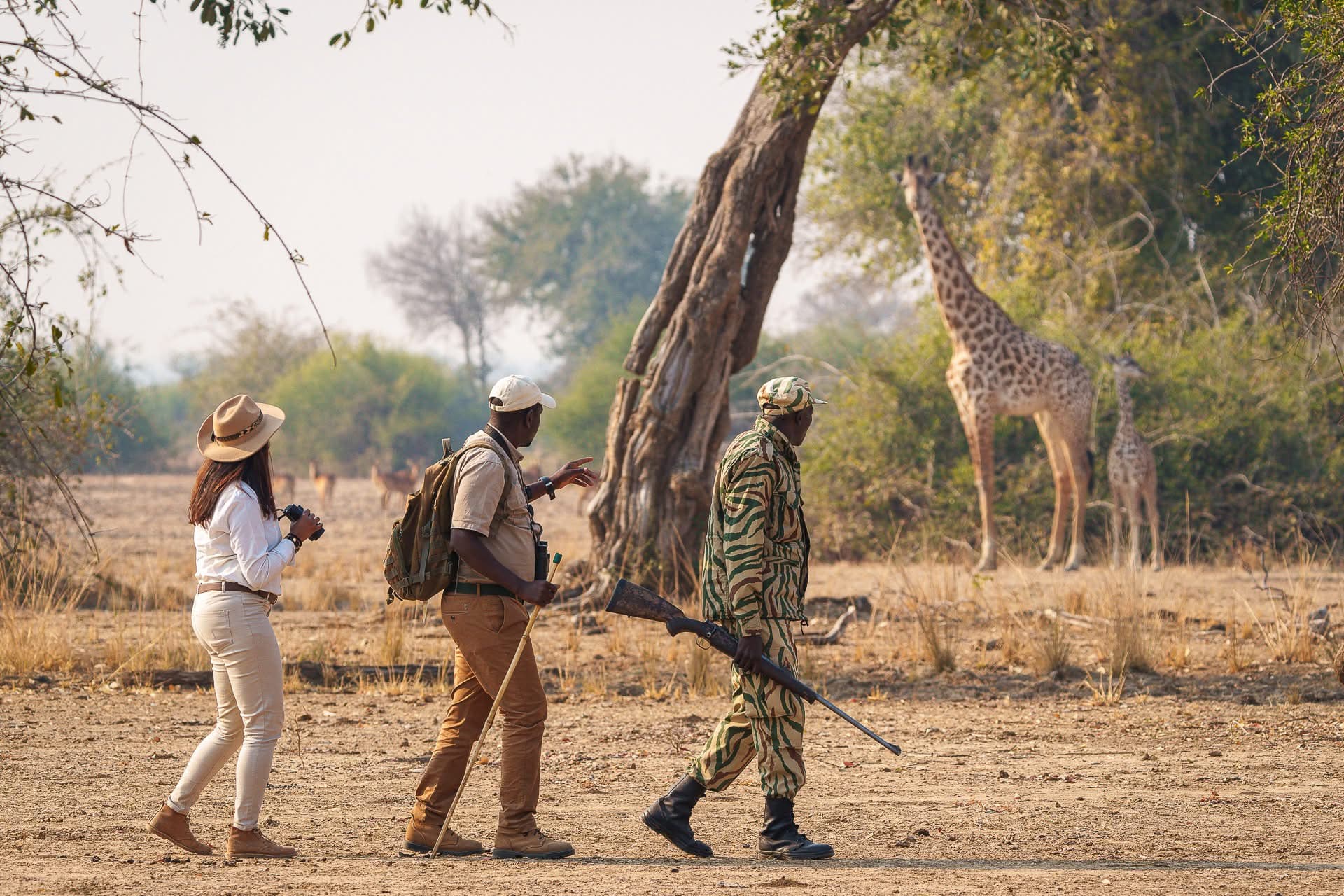 Guided Walking Safaris