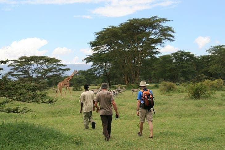 Guided Walking Safaris - Safari experience showcasing A Thrilling Safari on Foot in East Africa