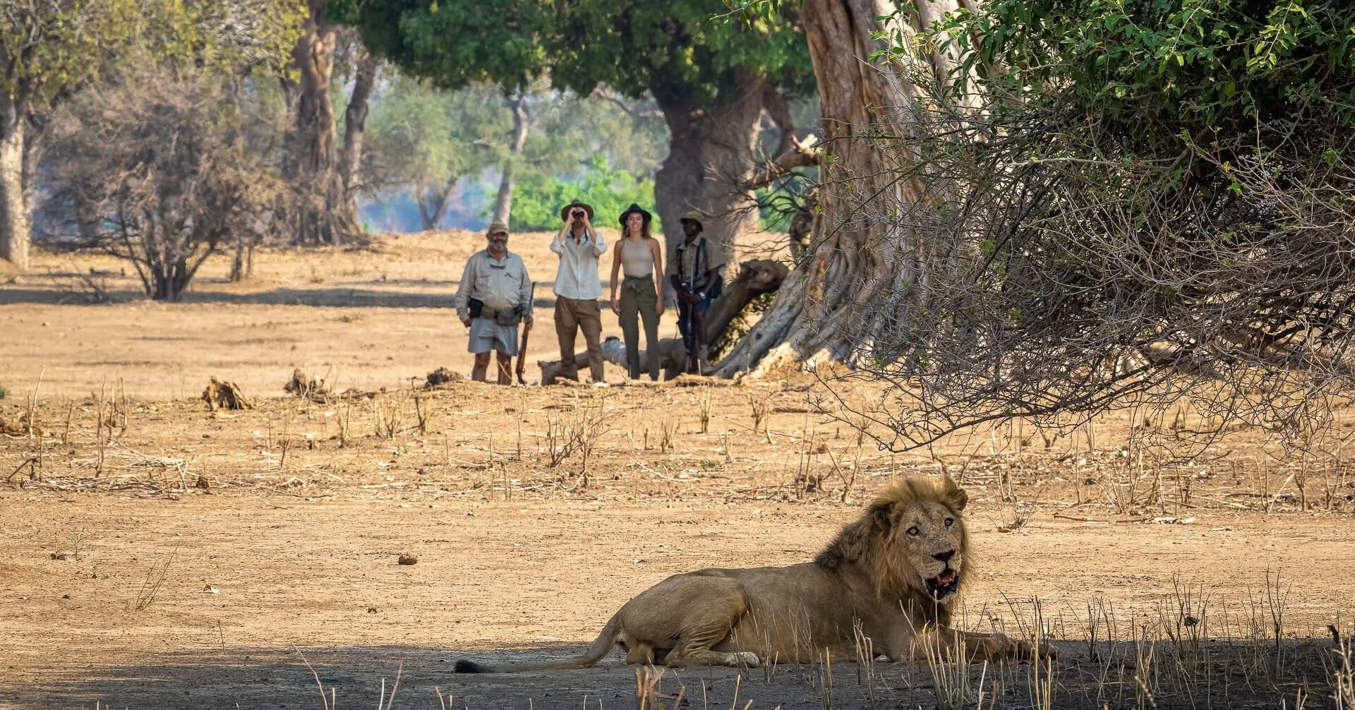 Guided Walking Safaris - Safari experience showcasing A Thrilling Safari on Foot in East Africa