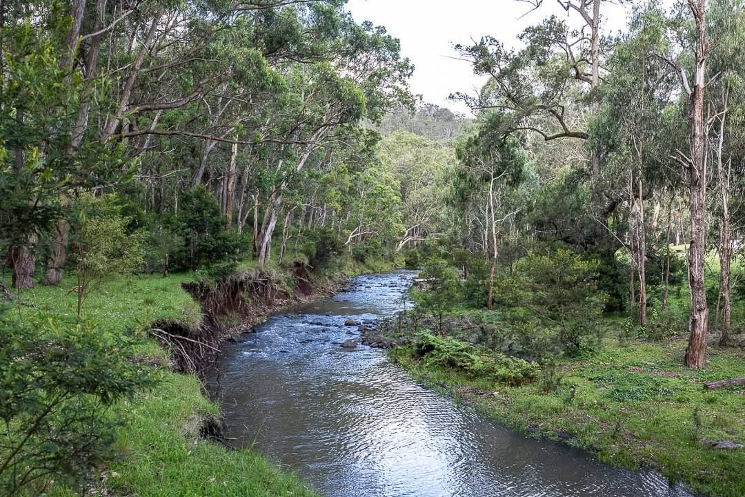 Wild Fishing - Safari experience showcasing A Thrilling Aquatic Safari in East Africa