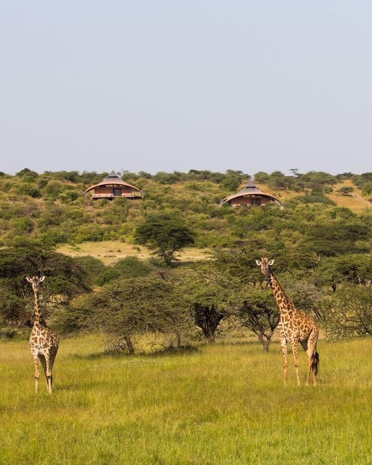 10 Days / 9 Nights Tanzania Luxury Safari