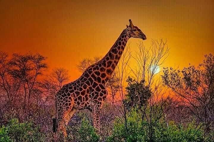 Tanzania