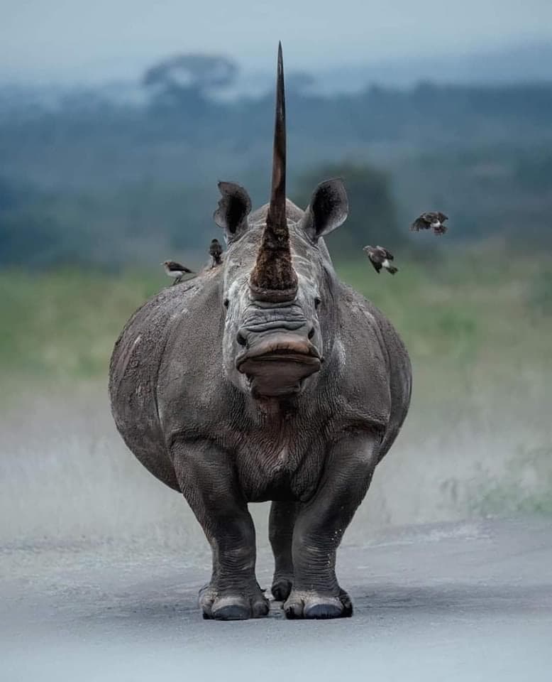 Authentic Culture and Adventure Safari 9 days/8 nights