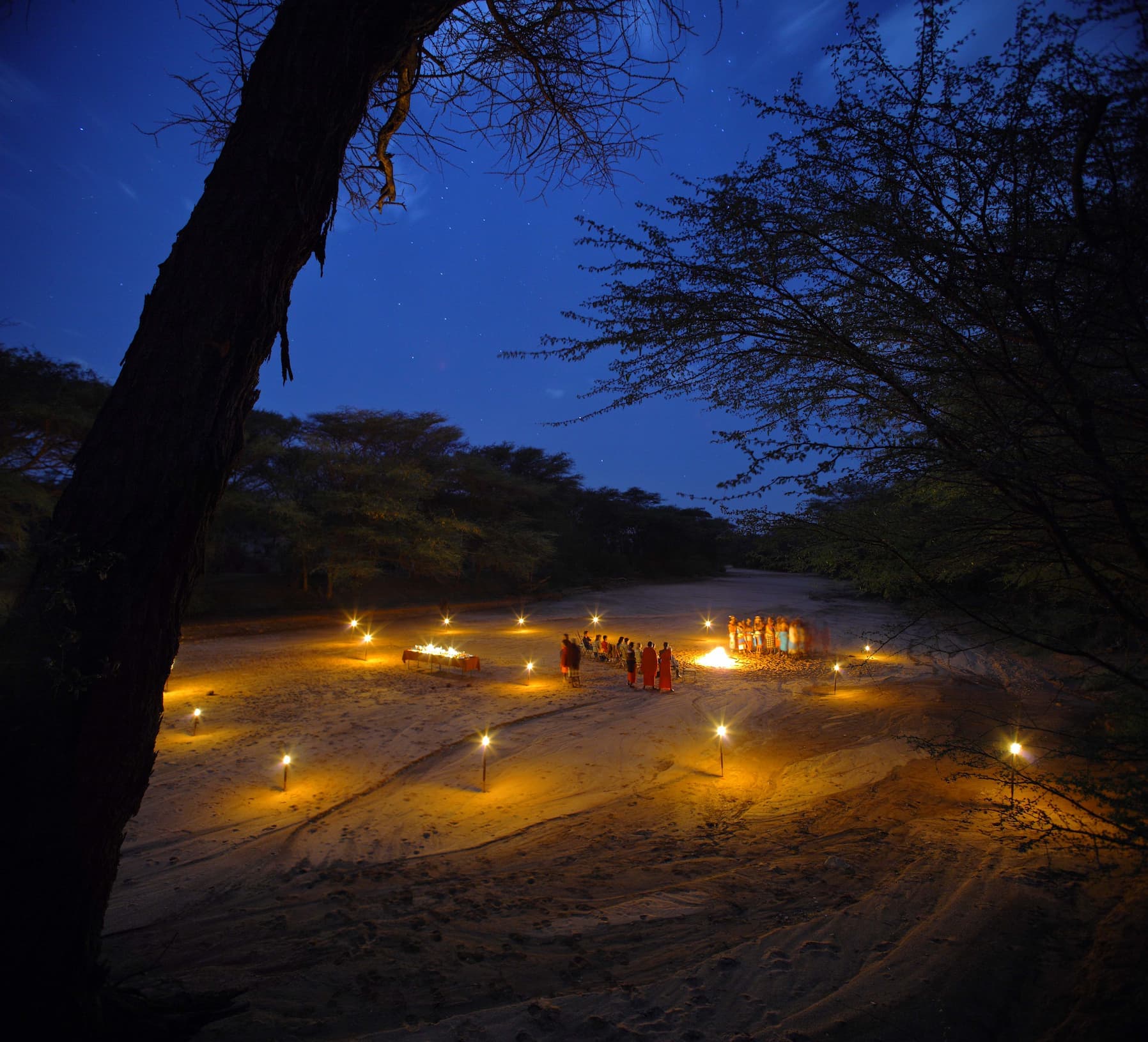 Bush Dining - Safari experience showcasing A Gourmet Experience in the Wild in East Africa