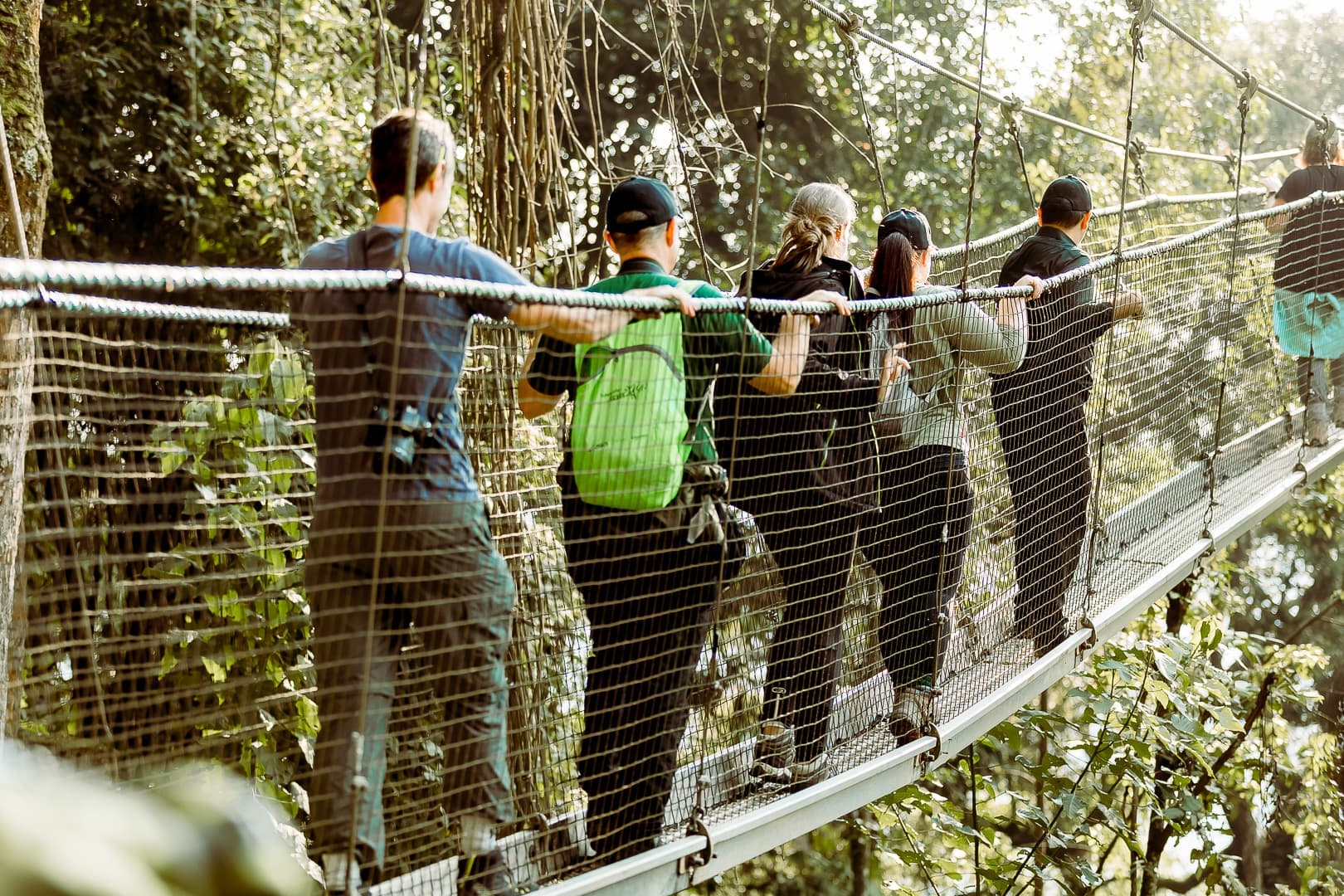 Canopy Walkways - Safari experience showcasing A High-Flying Safari Adventure in East Africa