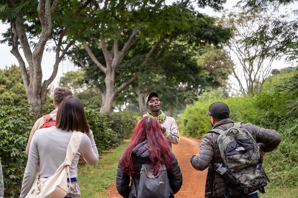 Coffee Tours - Safari experience showcasing A Unique Safari Experience in East Africa
