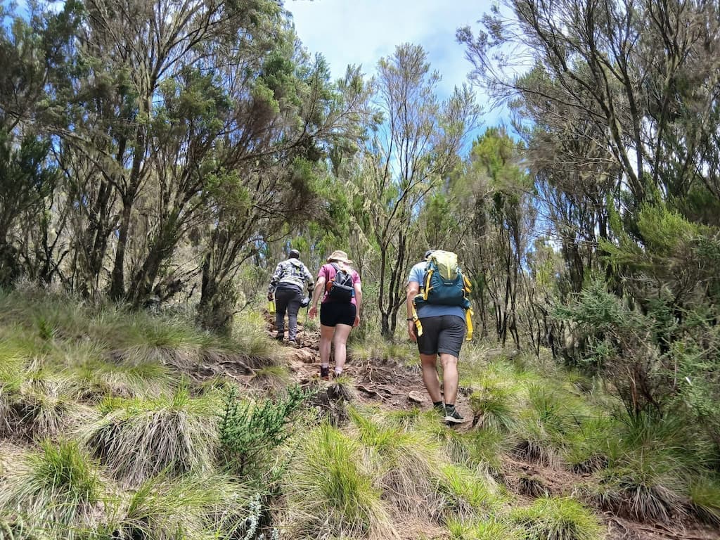 Hiking - Safari experience showcasing A Safari on Foot Through Stunning Landscapes in East Africa