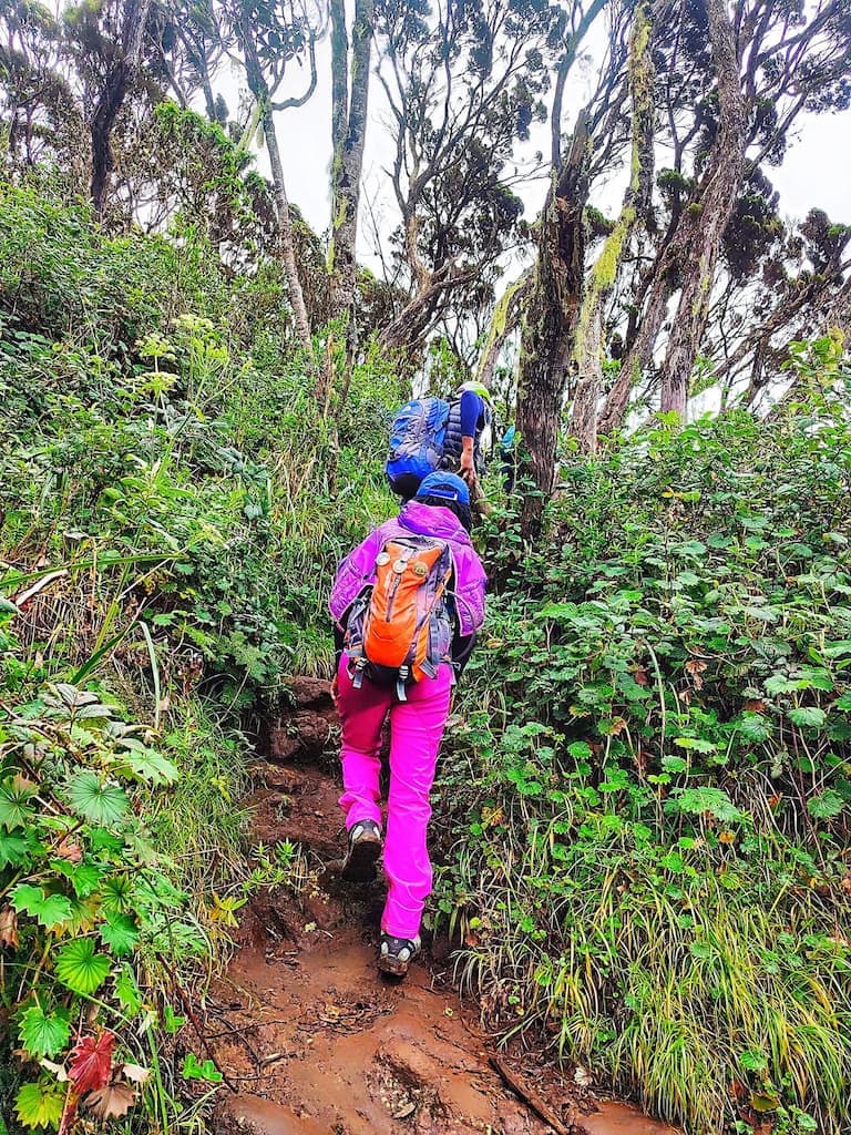 Hiking - Safari experience showcasing A Safari on Foot Through Stunning Landscapes in East Africa