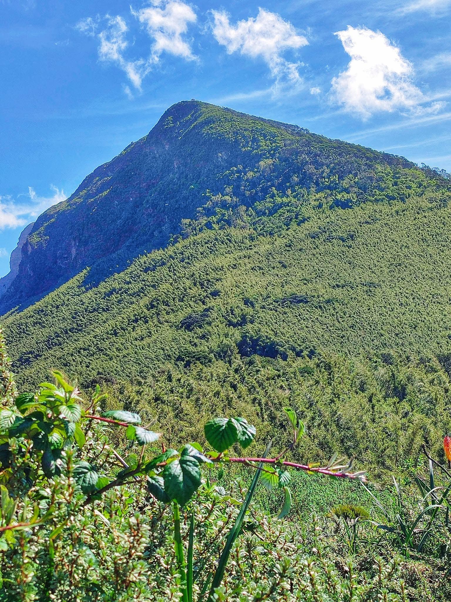 Hiking - Safari experience showcasing A Safari on Foot Through Stunning Landscapes in East Africa