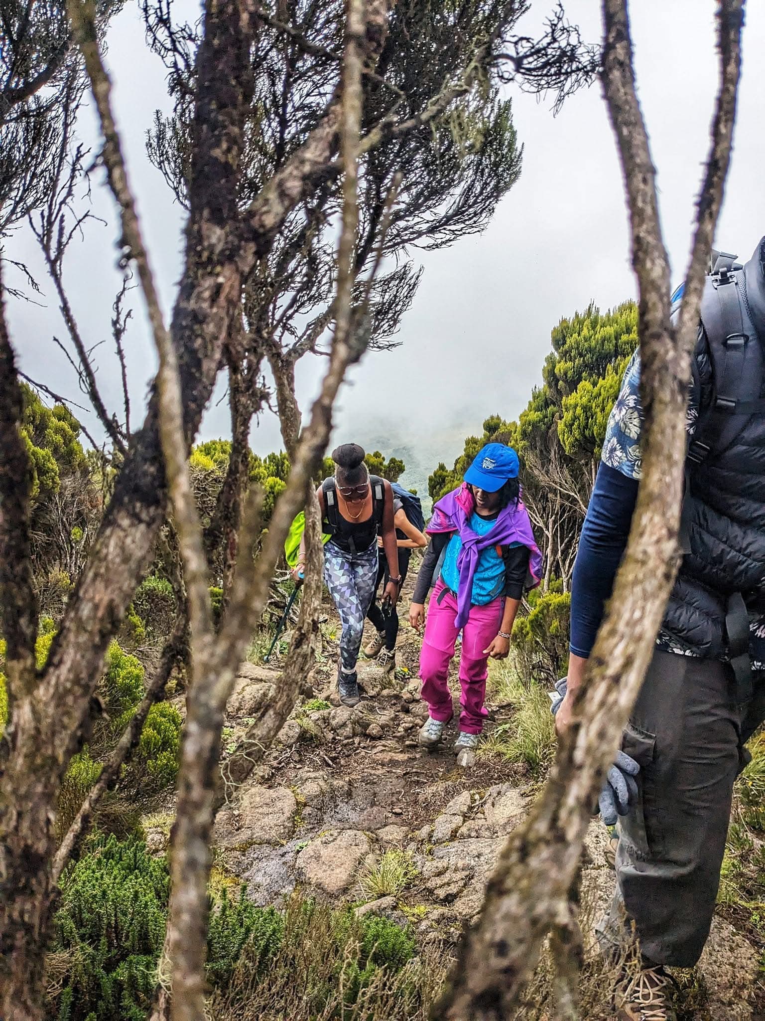 Hiking - Safari experience showcasing A Safari on Foot Through Stunning Landscapes in East Africa