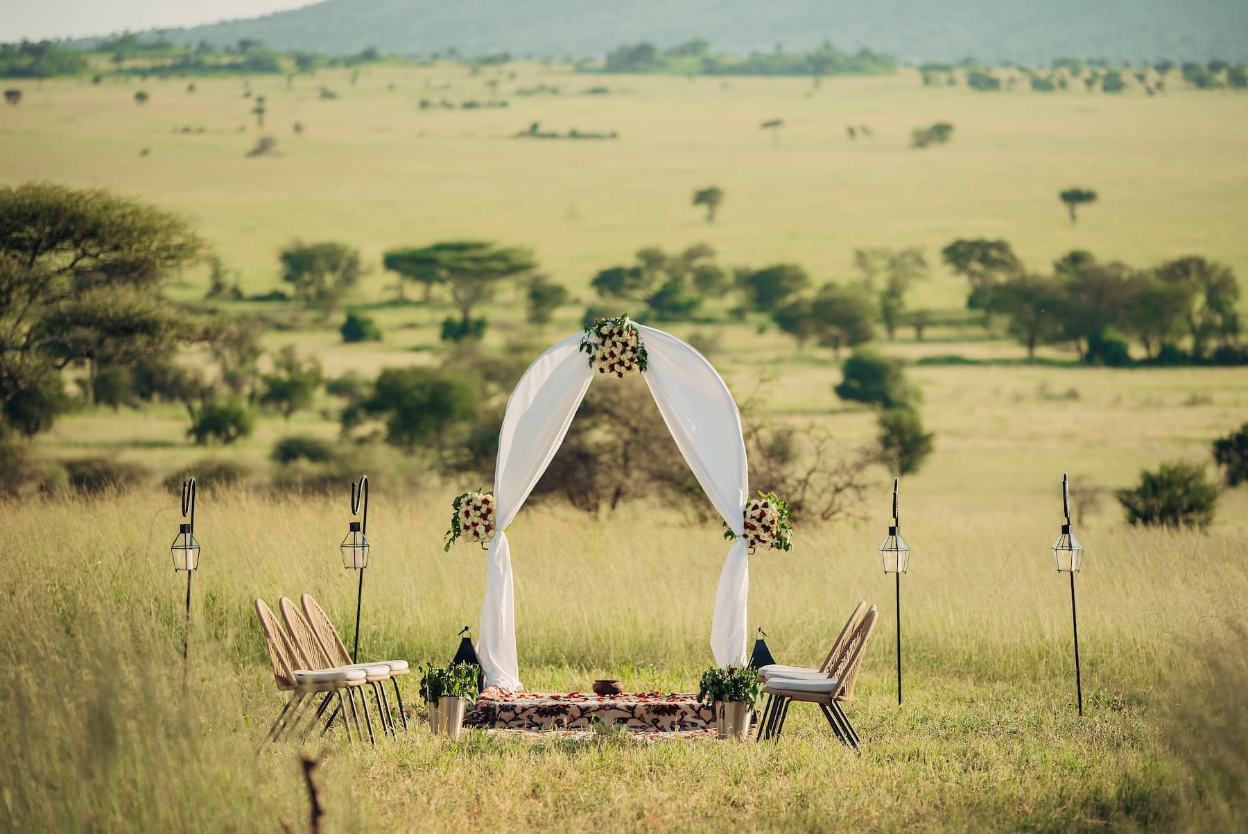 Safari Weddings - Safari experience showcasing A Magical Union in the Wild in East Africa