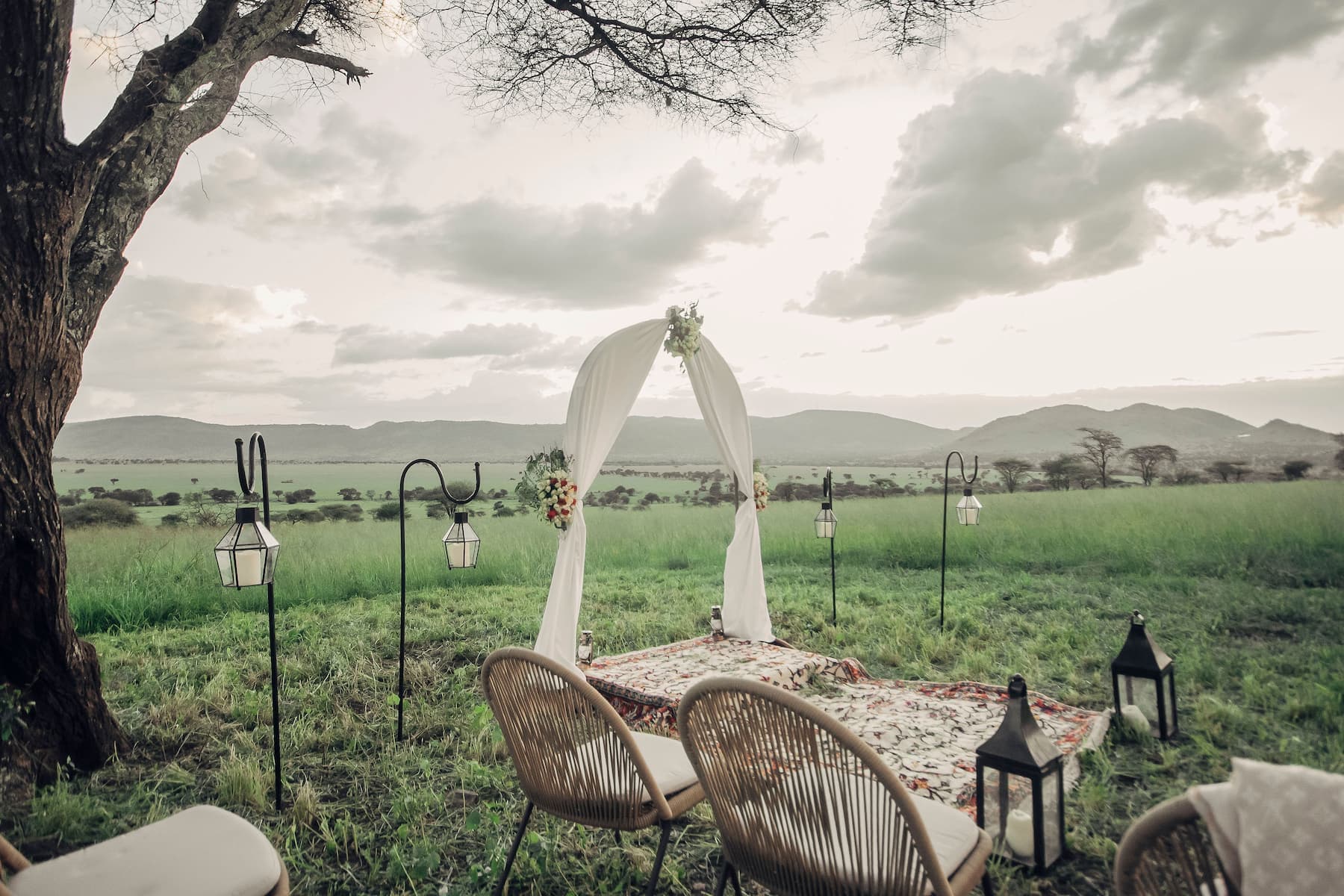 Safari Weddings