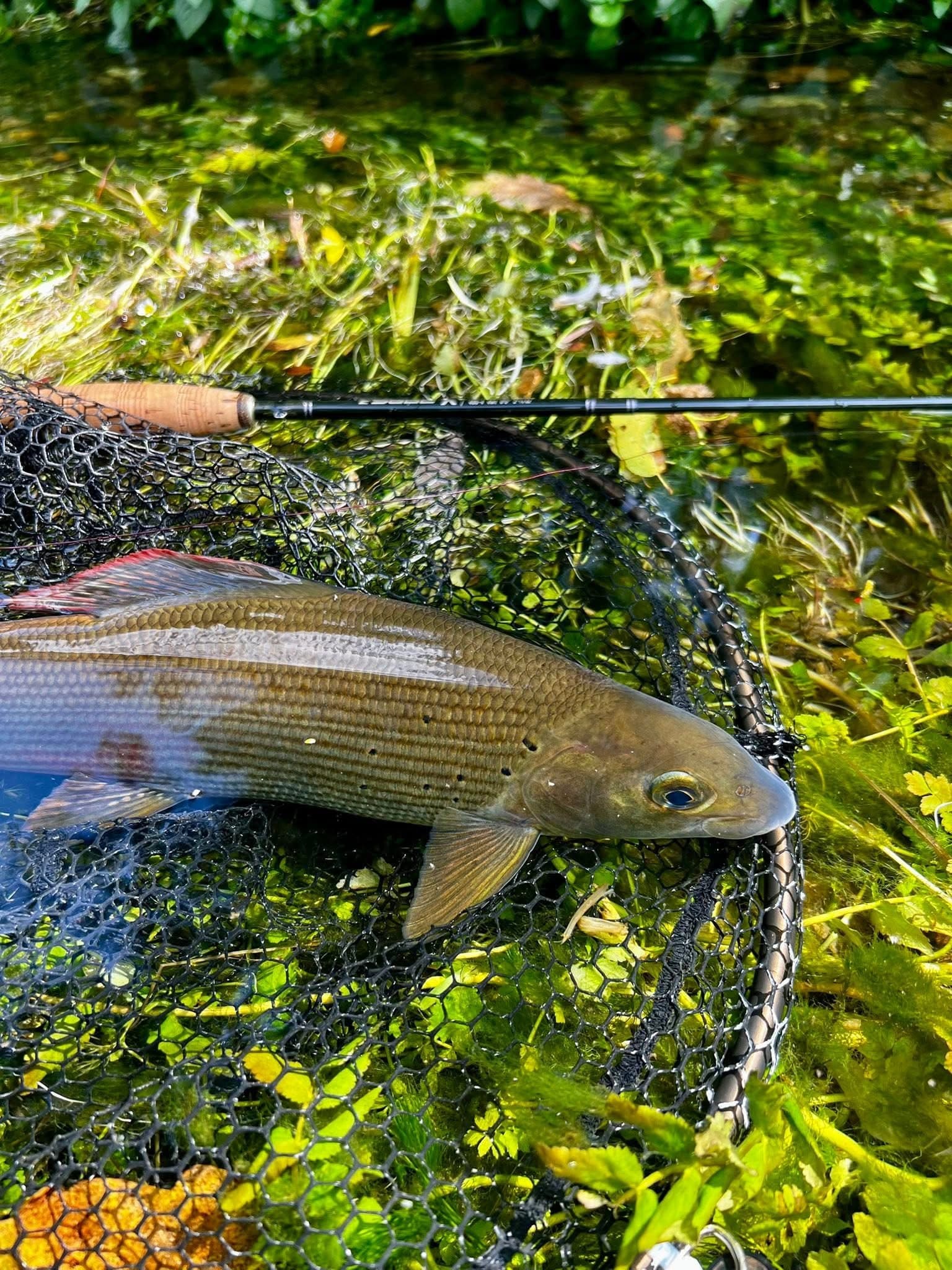 Wild Fishing - Safari experience showcasing A Thrilling Aquatic Safari in East Africa
