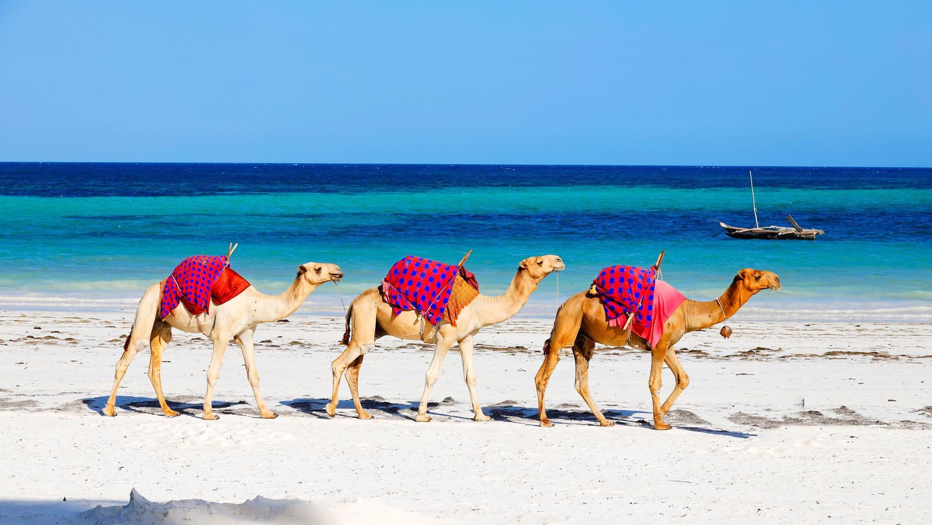 Diani Beach 5