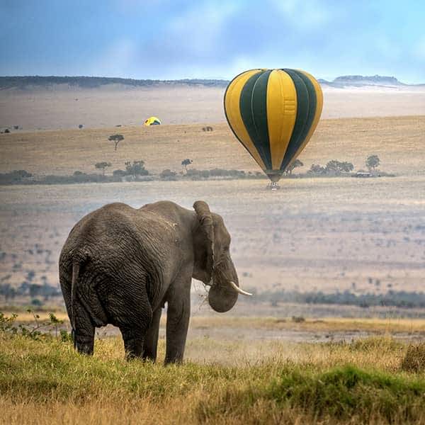 Maasai Mara 3