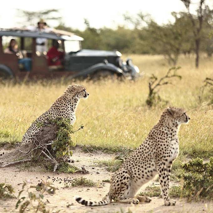 Maasai Mara 5
