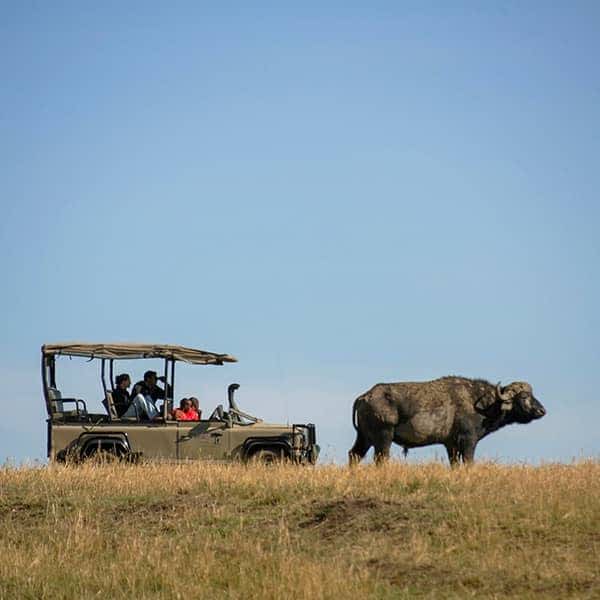 Maasai Mara 4