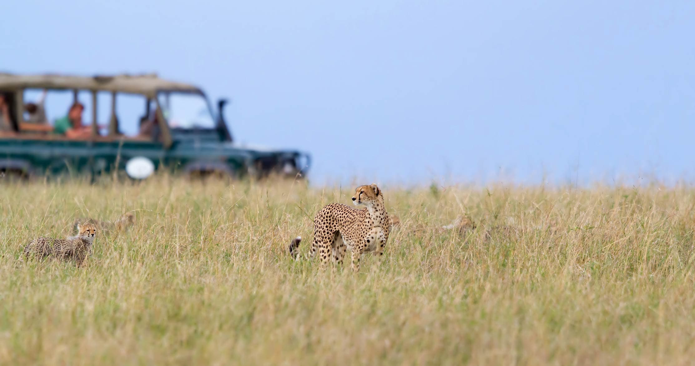 Maasai Mara National Reserve landscape