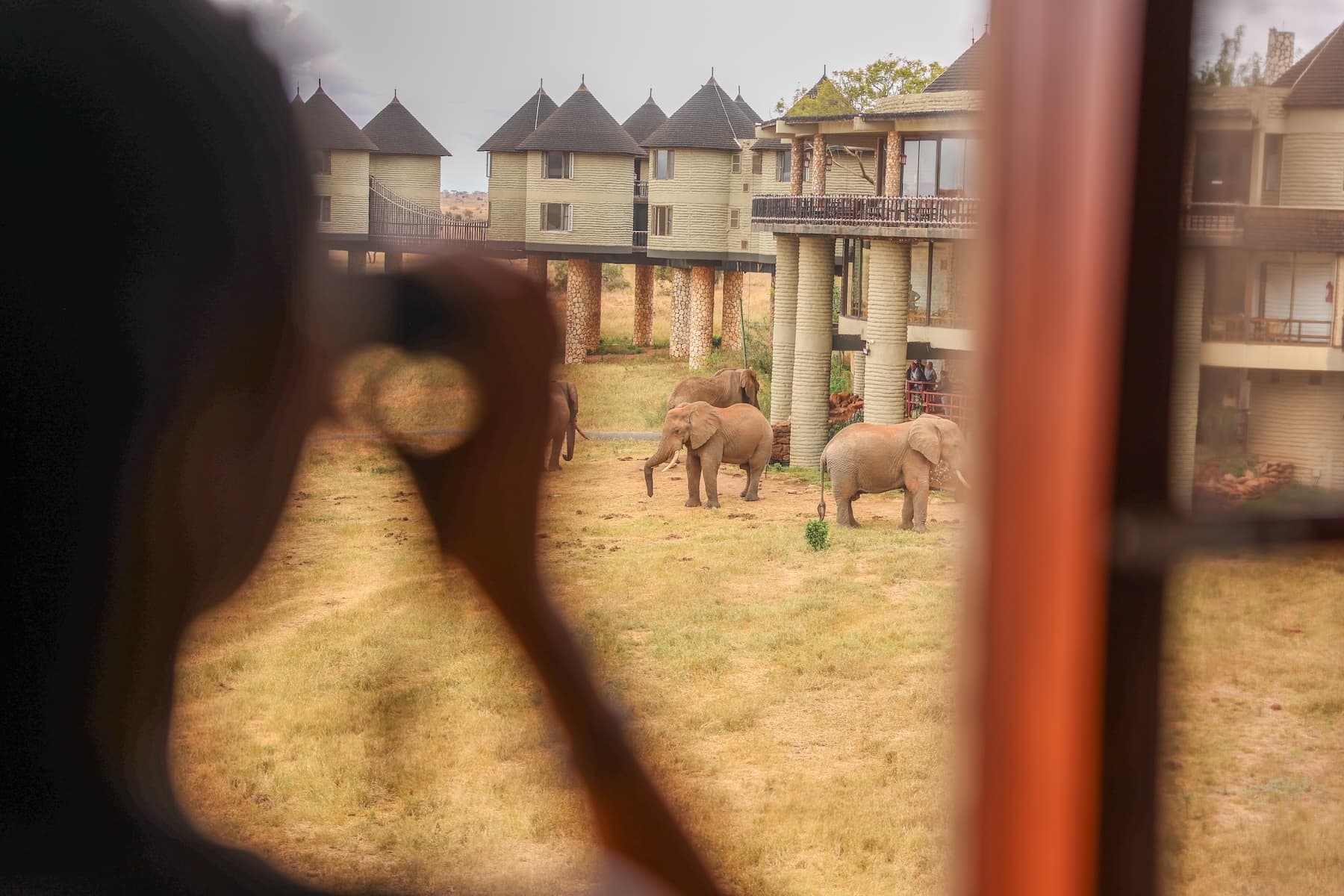 Salt Lick Safari Lodge exterior