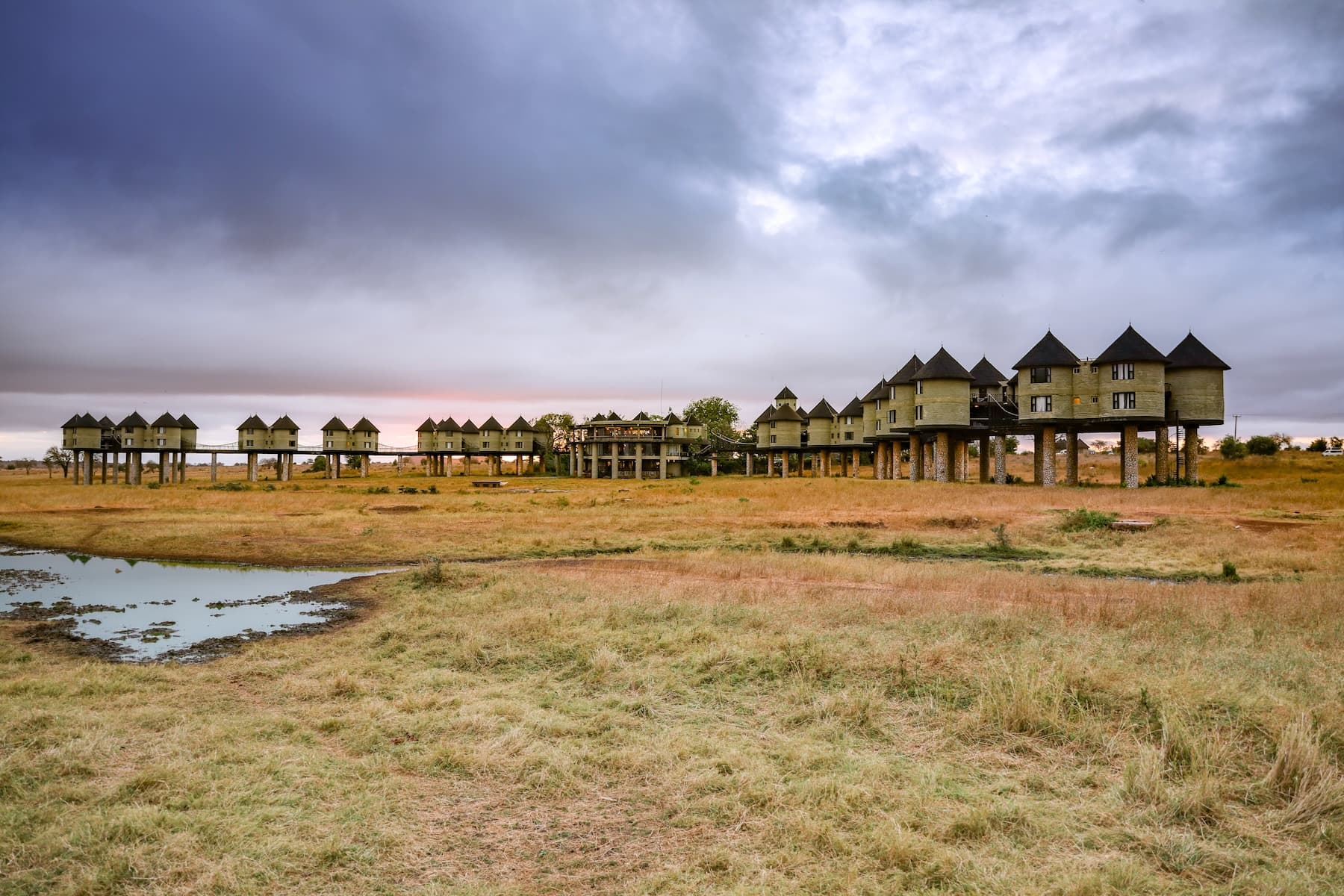Salt Lick Safari Lodge