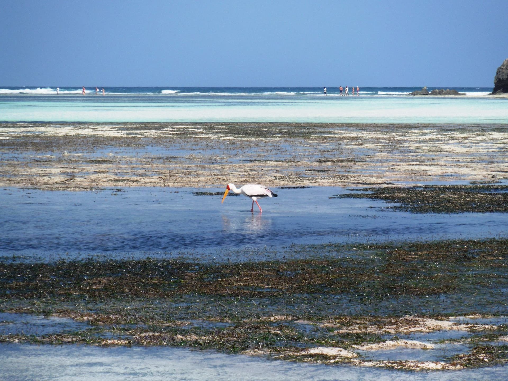 Watamu 3
